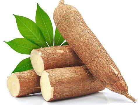 Manioc
