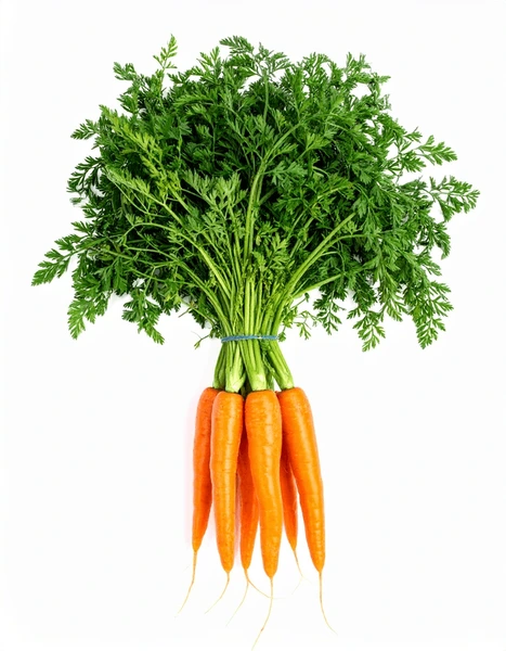 Carottes Orange Bio Fraîches